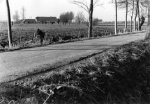 839823 Gezicht op de boerderij Het Groen aan de Oud Wulfseweg te Oud Wulven (gemeente Houten).
